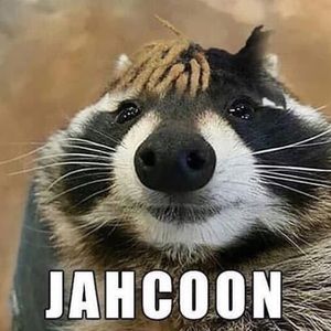 Meet your Posher, Dan